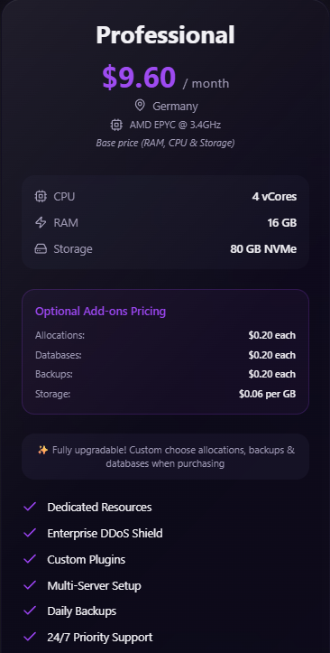 Professional Plan (Germany)